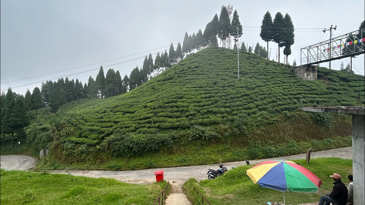 buddha park ilam nepal