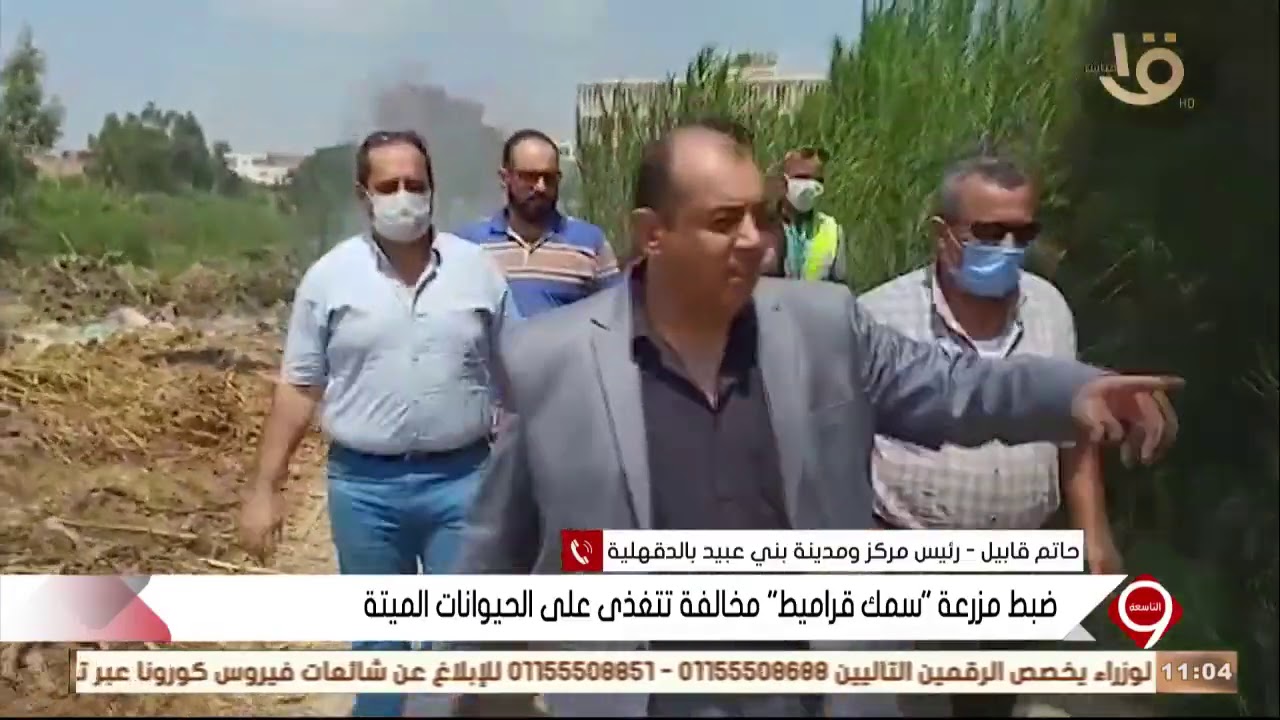 رئيس مدينة بني عبيد يوضح تفاصيل ضبط مزرعة “سمك قراميط“ مخالفة تتغذى على الحيوانات الميتة بالدقهلية