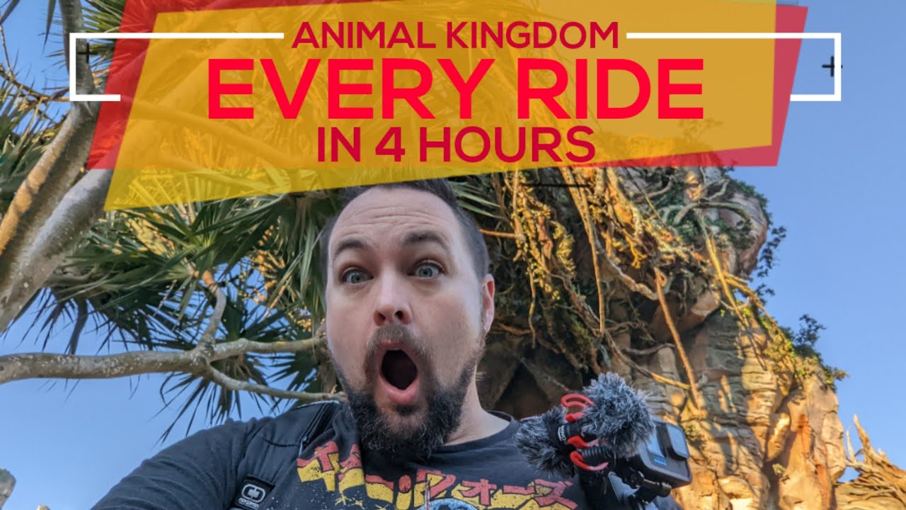 Flights of Passage ROPE DROP | Port Orleans Riverside tour | Animal Kingdom