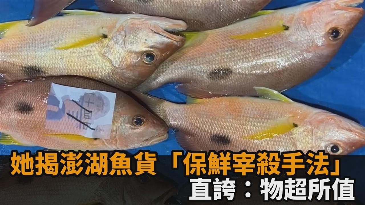 澎湖海鮮媲美日本！她揭台灣高級魚貨「保鮮宰殺手法」　直誇：物超所值－全民話燒