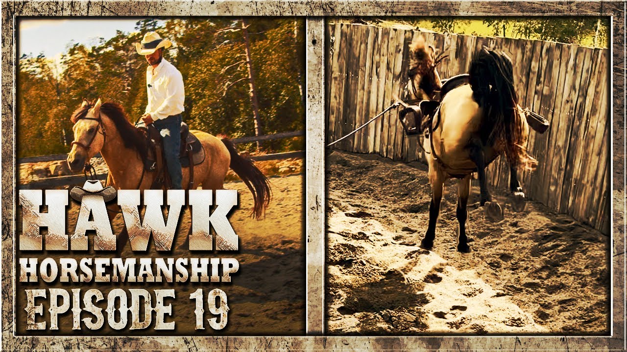 HEST SOM BUKKER! | Episode 19 (Norsk Hestetrening)