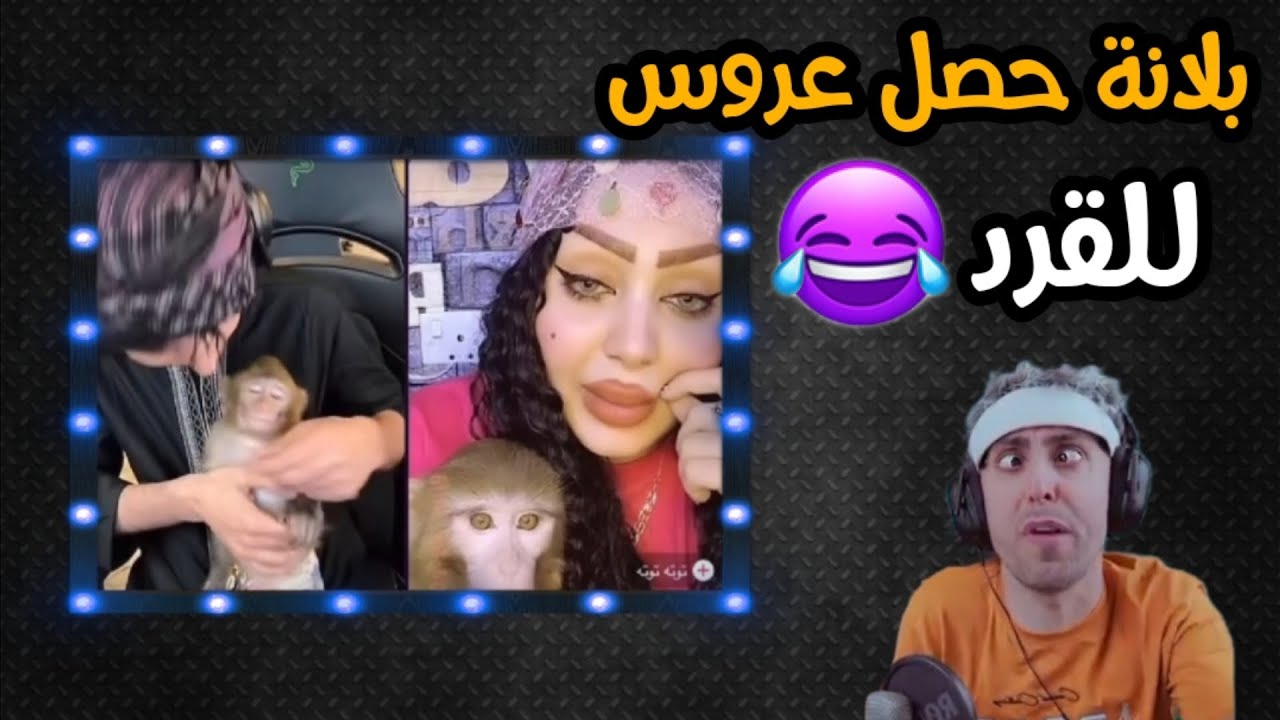 بلانة كيمنك بث تيكتوك | بلانة حصل زوجة للقرد ويحاول يعلمة عالحنان 😂 !!