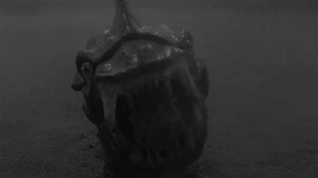 The Surf Zombies - Martian Beach