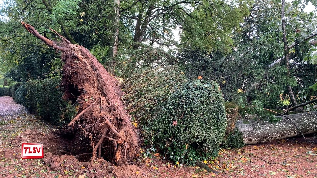 Luçon. La tempête Domingos n'a pas épargné le jardin Dumaine