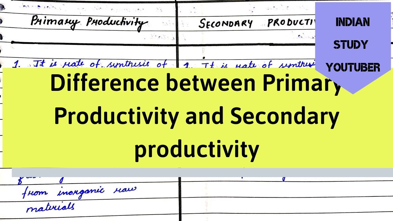 Difference between Primary productivity and secondary productivity | 12th Biology | Ecology