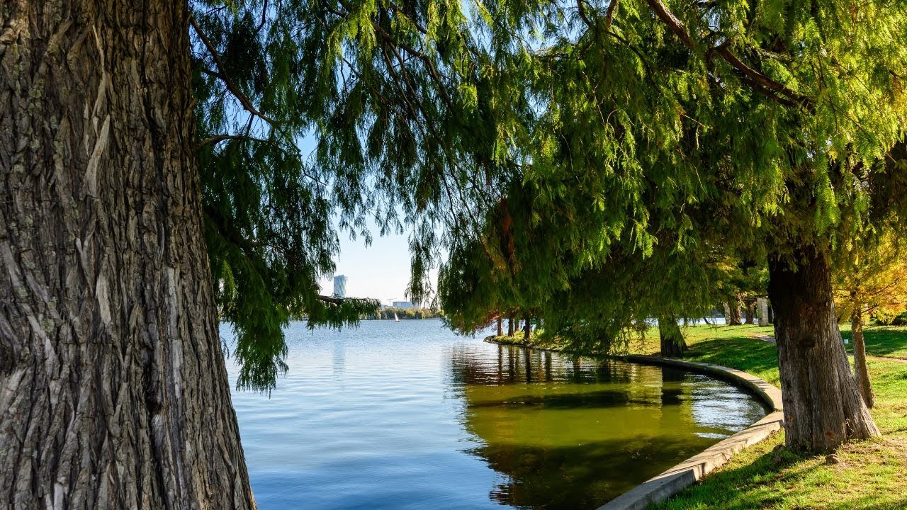 🇷🇴 Herastrau Park: Bucharest's Extraordinary Urban Oasis 🇷🇴