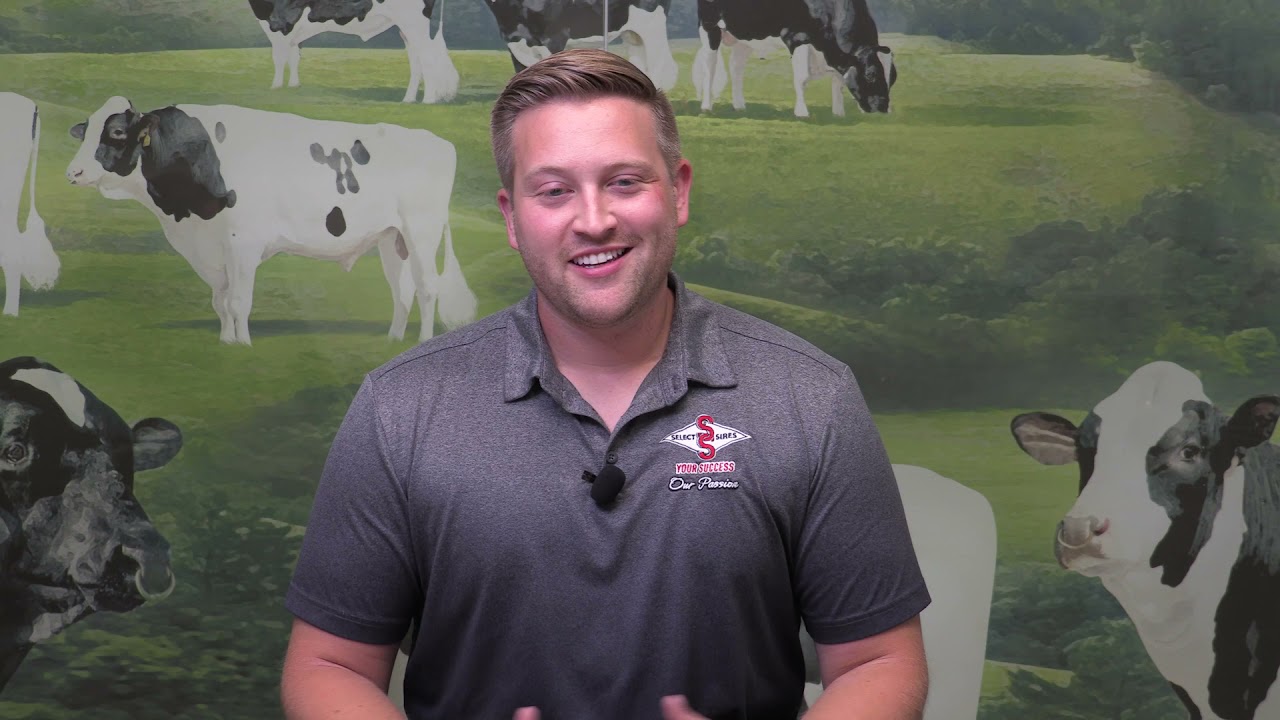 Q&A | Episode 6: Make Longevity Your Legacy