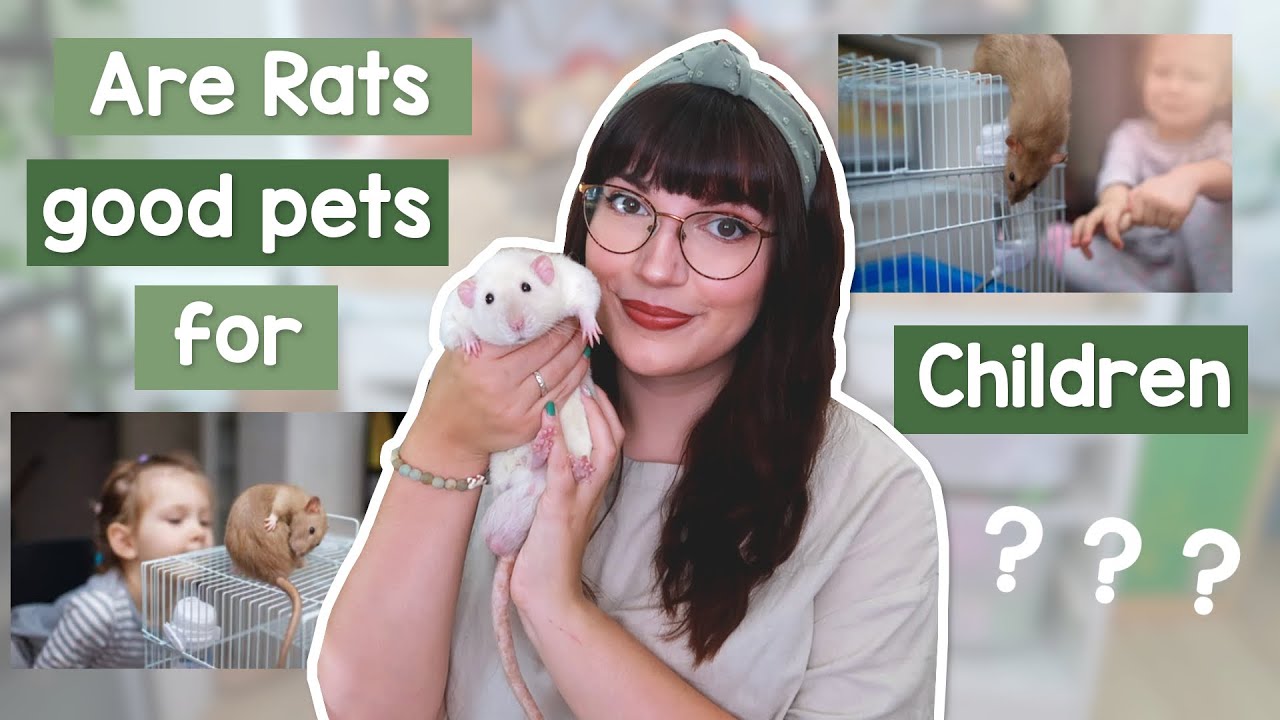 Are Rats good pets for children?