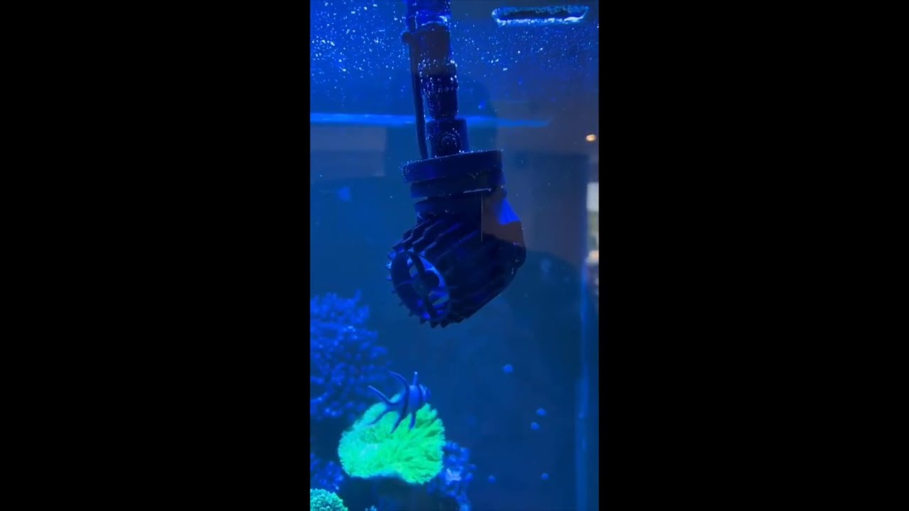 ocean sea products