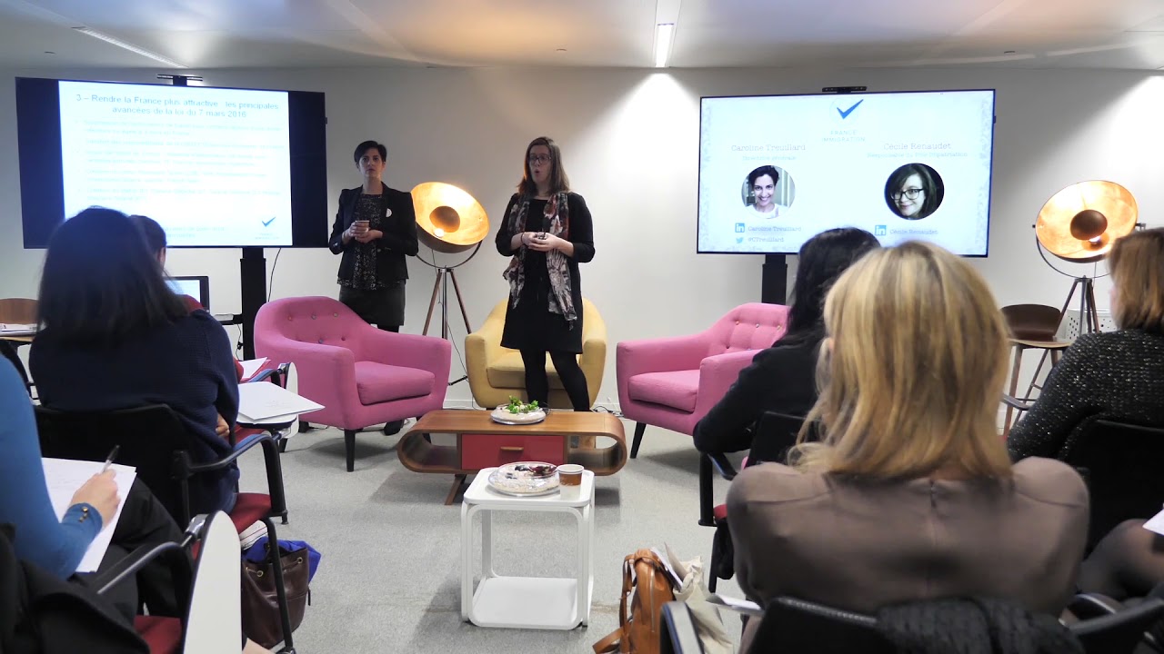 France immigration - Autorisation de travail - Cartes de visa