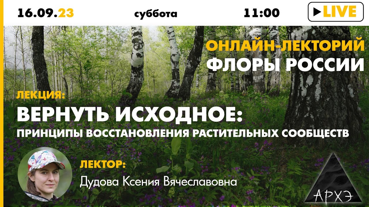 Лекция Ксении Дудовой 