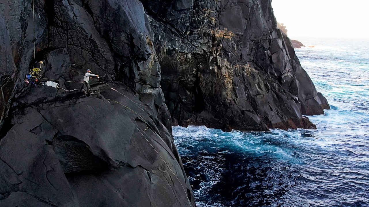 CLIFF FISHING ! Catch and Cook