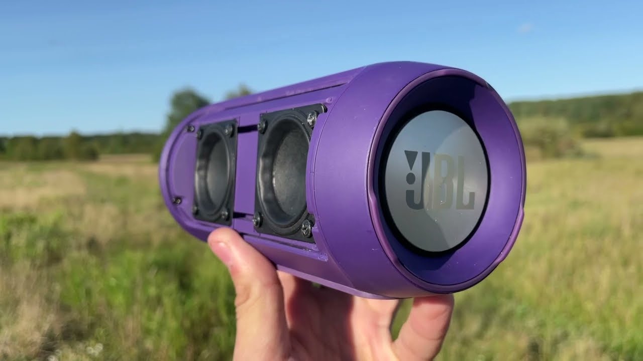 vibe bass test in the field / jbl charge 2 purple GG-KE / LFM 90%