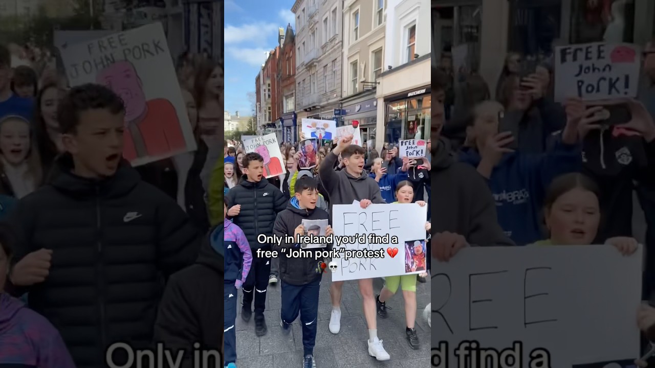 JOHN PORK PROTEST 💀‼️ #dublin #funny #relatable #comedy
