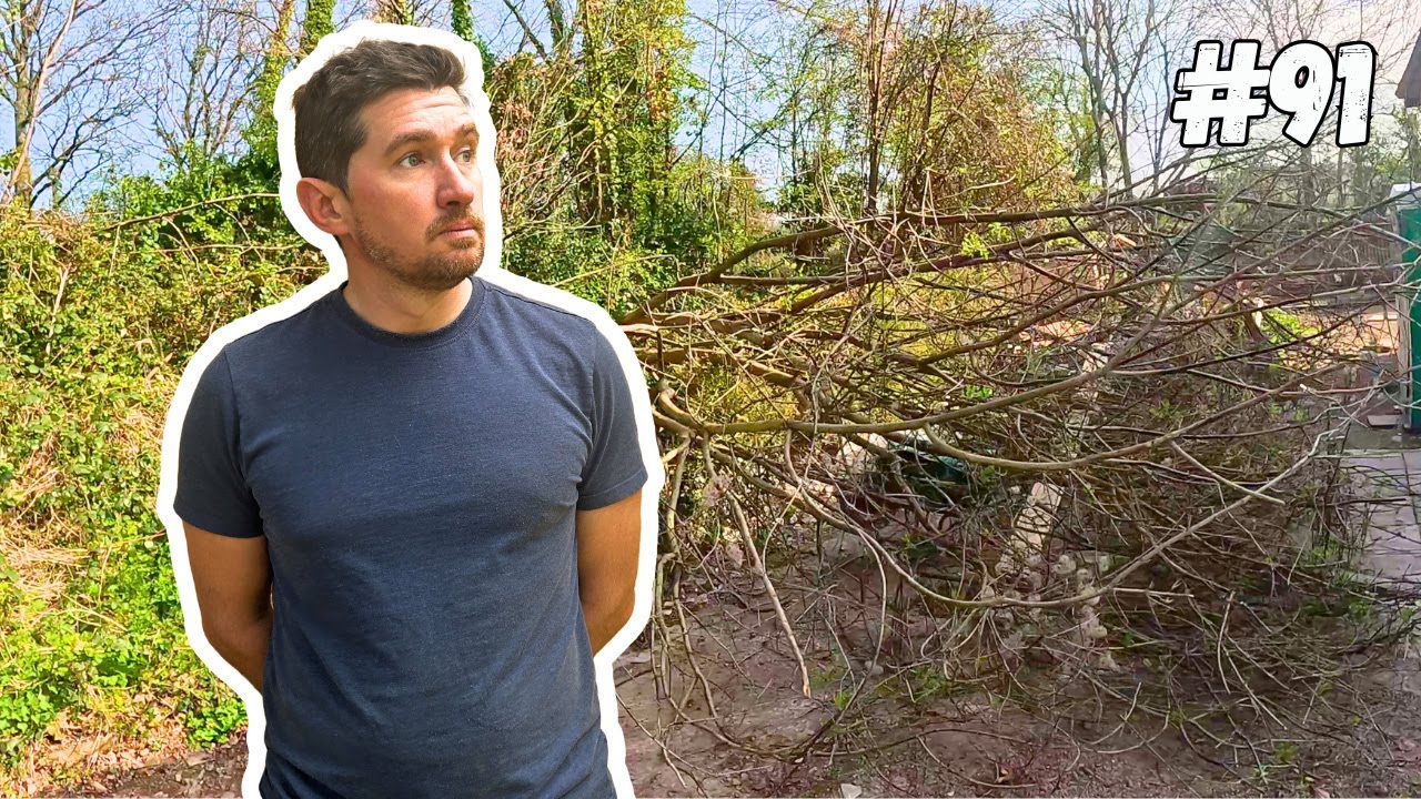 After a CLOSE CALL, Garden RENOVATION Progresses at Our Railway Station