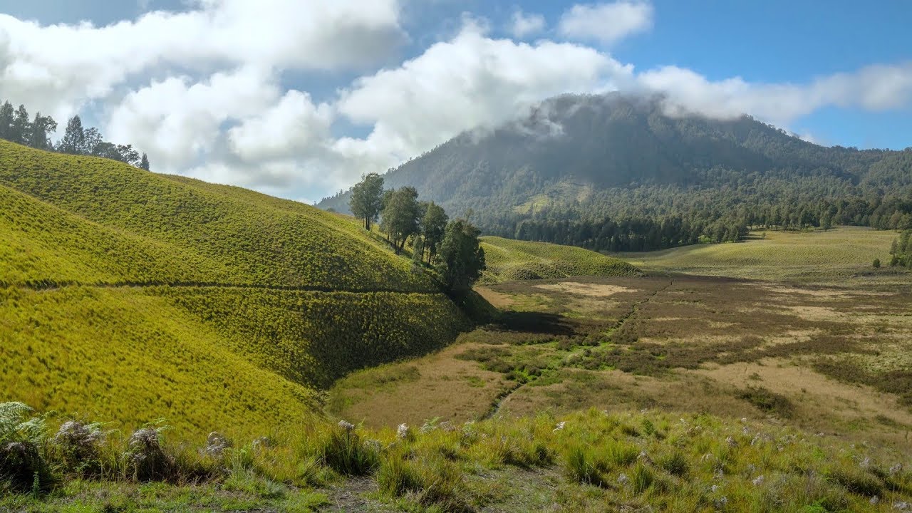 Deasy Juwita - Damai Selalu
