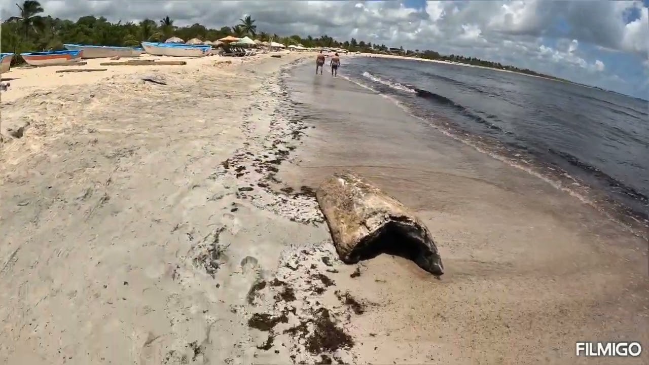 BibiJagua y playa Macao, Punta Cana, perdonen el sargazo