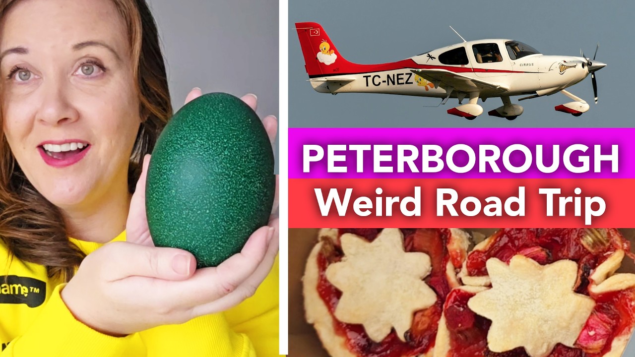 Perfect Ontario Day Trip: Peterborough Free Zoo, Airport Café & Emu Egg Find!