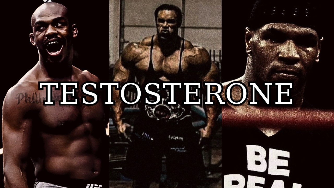 TESTOSTERONE