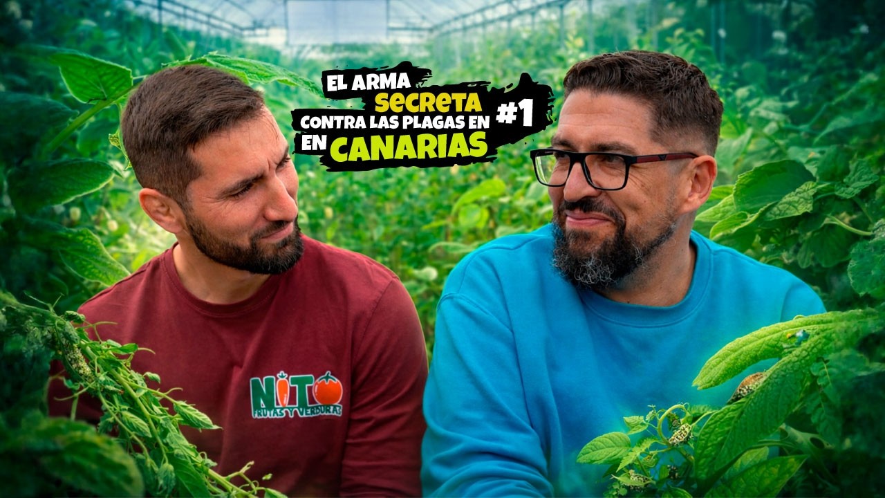 El arma secreta contra las plagas en Canarias | Bioagrológica · Ponte las Botas #1