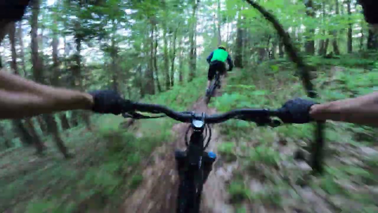🐝Biene Maja + A2 Trail nonstop 👌
