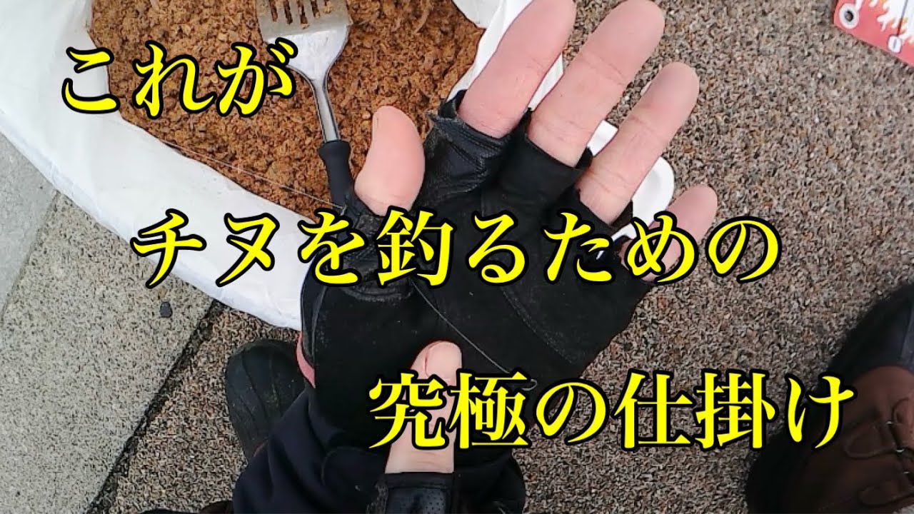 これがチヌを釣るための究極の仕掛け・・・【黒鯛　フカセ釣り】