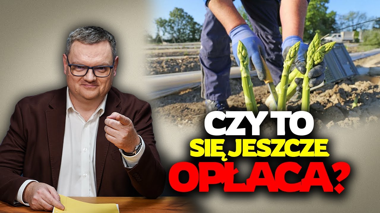 Myślisz o pracy za granicą? Sprawdź czy to się jeszcze opłaca! Komentuje Radek Pogoda