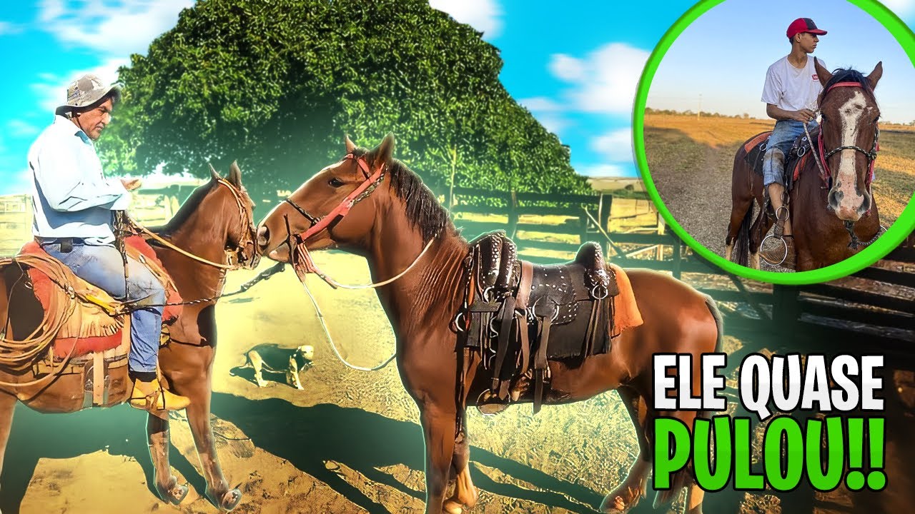 COLOQUEI O NOVO CAVALO NA LIDA