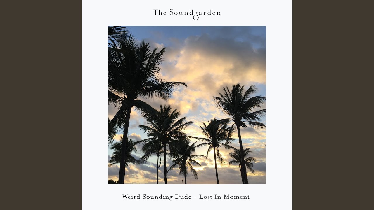 Hidden In Sunsets