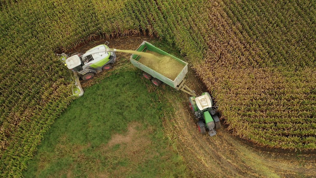 30min of Harvesting Corn silage and Packing bunk silo