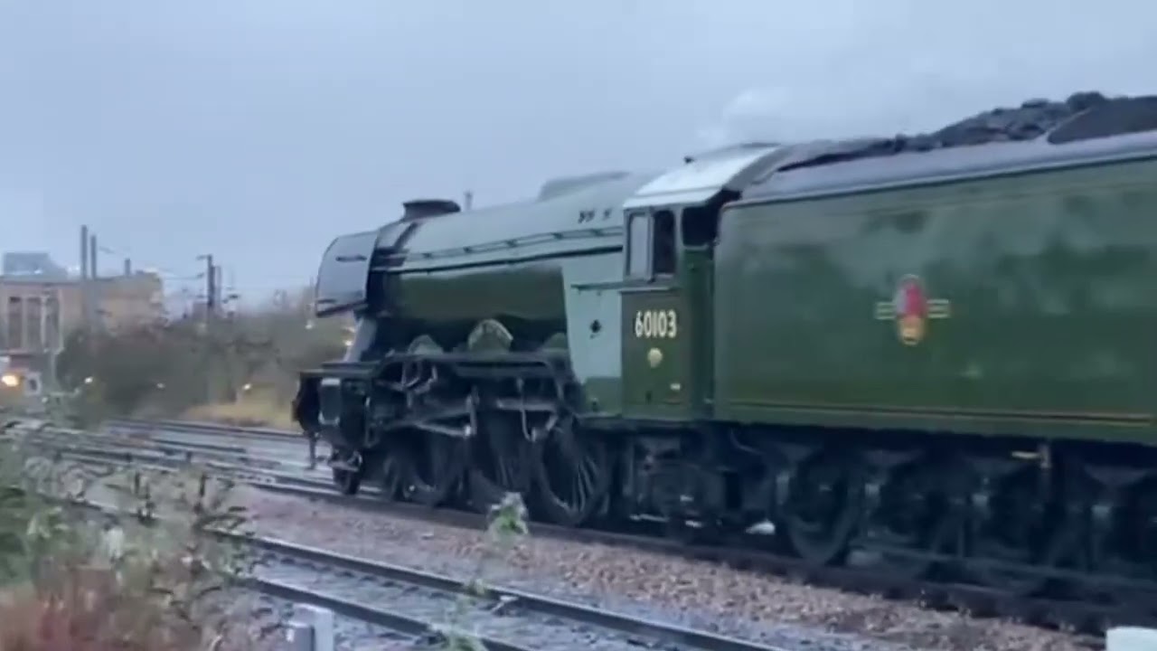Flying Scotsman Passing Railworld Wildlife Haven - Peterborough - Cambridgeshire - New - Jan 2024