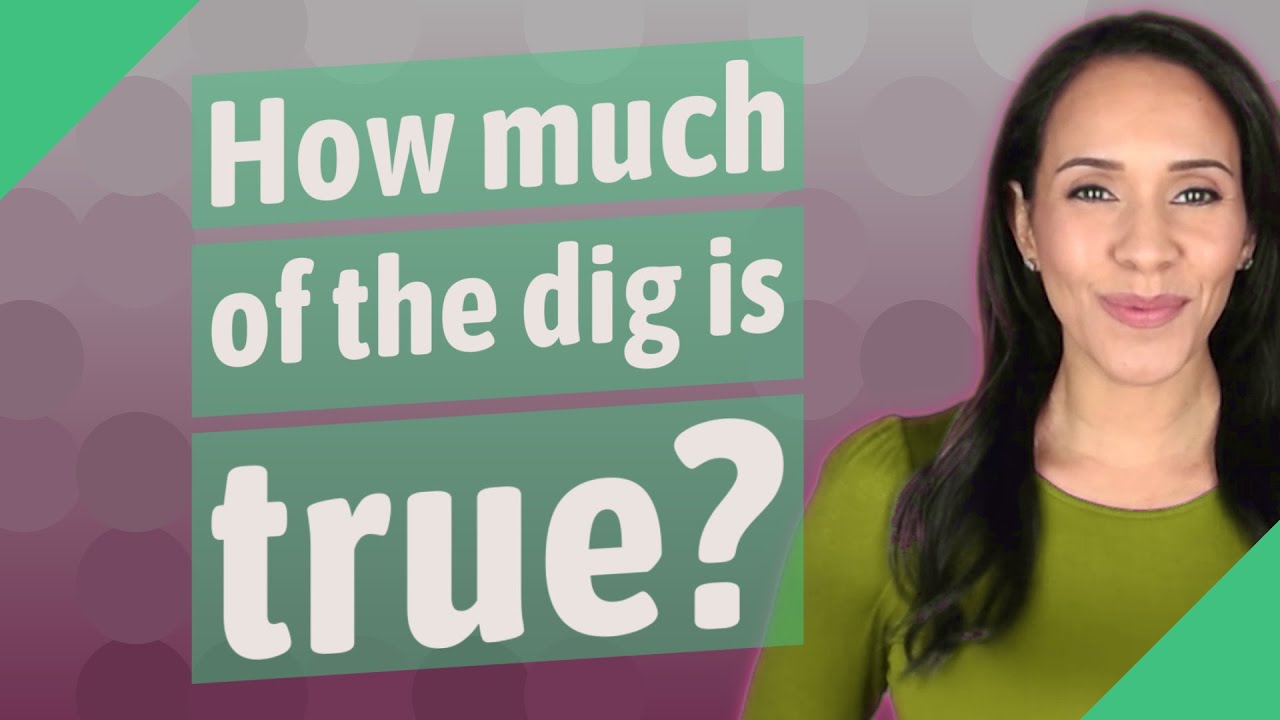 How much of the dig is true?