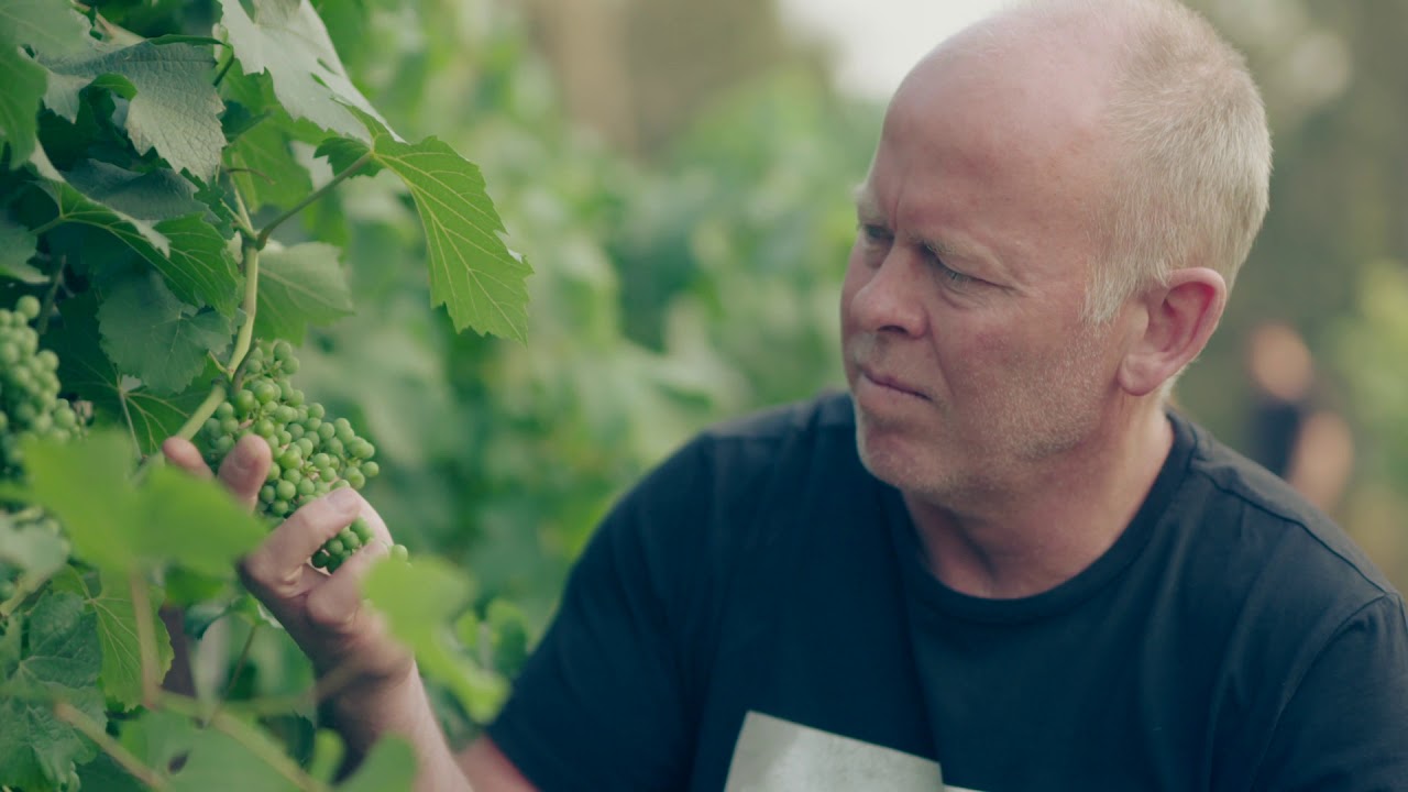 Hunter Valley Semillon