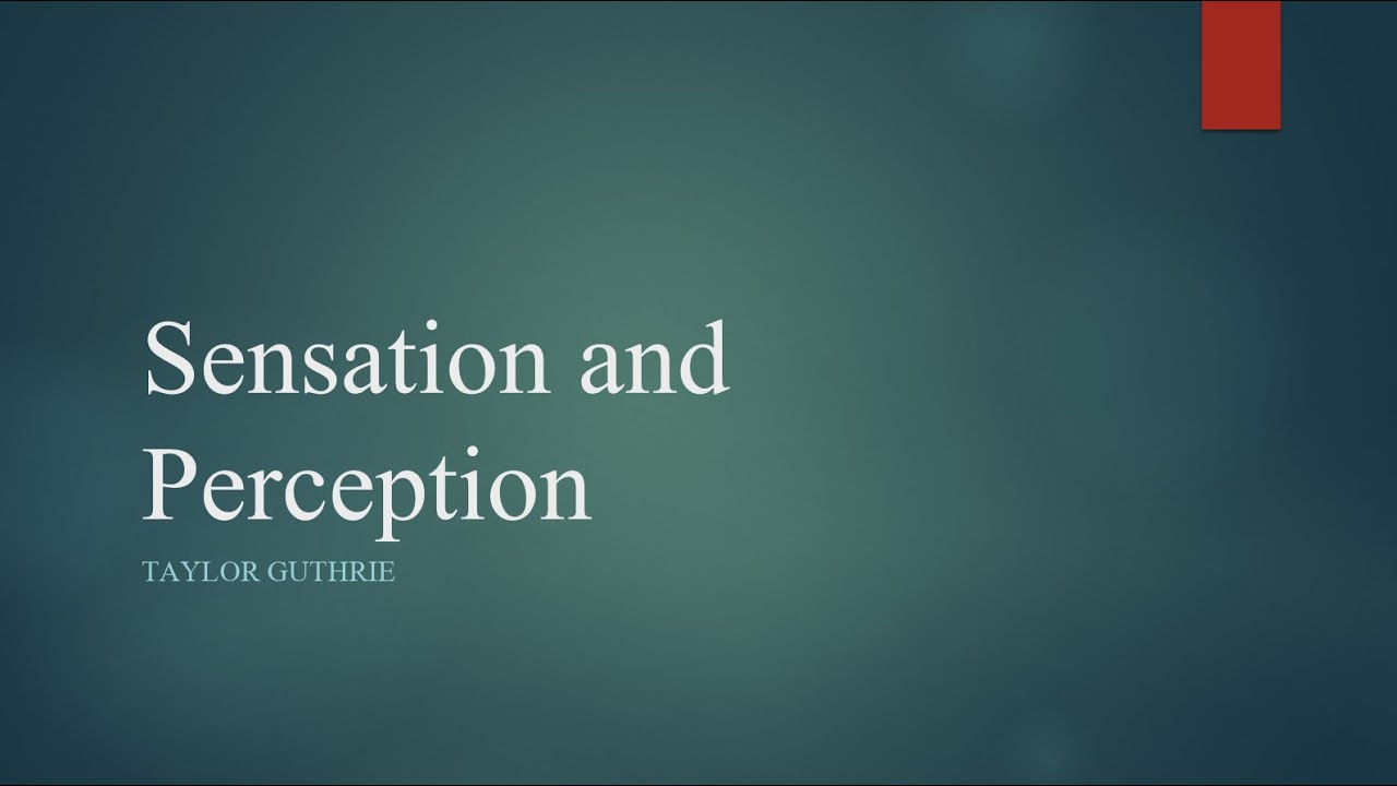 Cognitive Neuroscience of Sensation and Perception - Audition and Vision