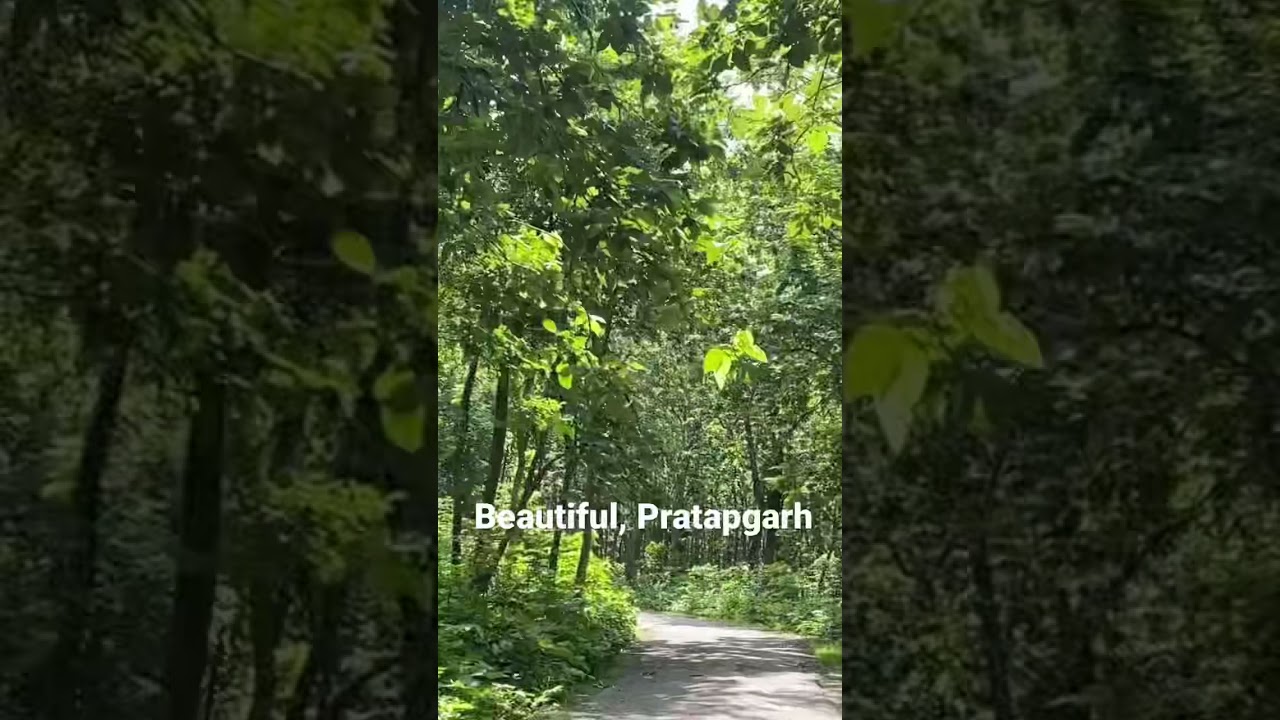 Pratapgarh | Forest | Uttar Pradesh | Mansoon | July