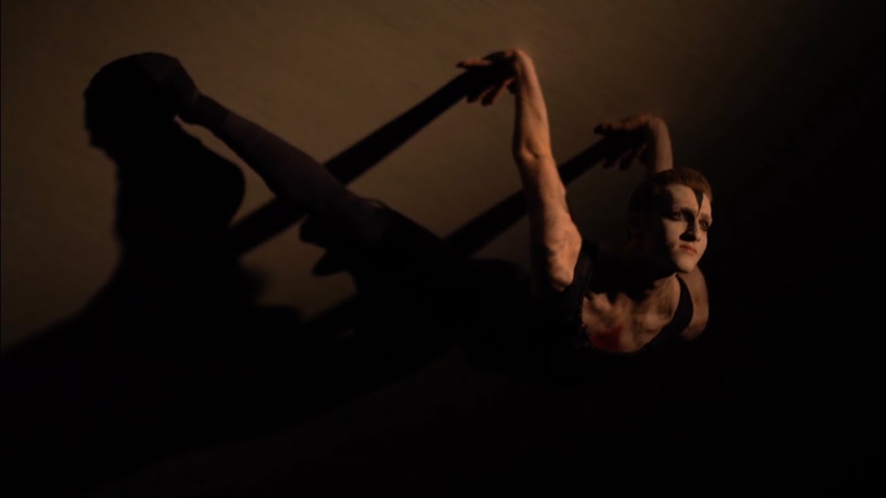 THE DYING SWAN - Official video clip - Arnon Herring