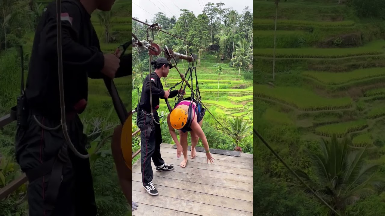 First Flying Fox Experience