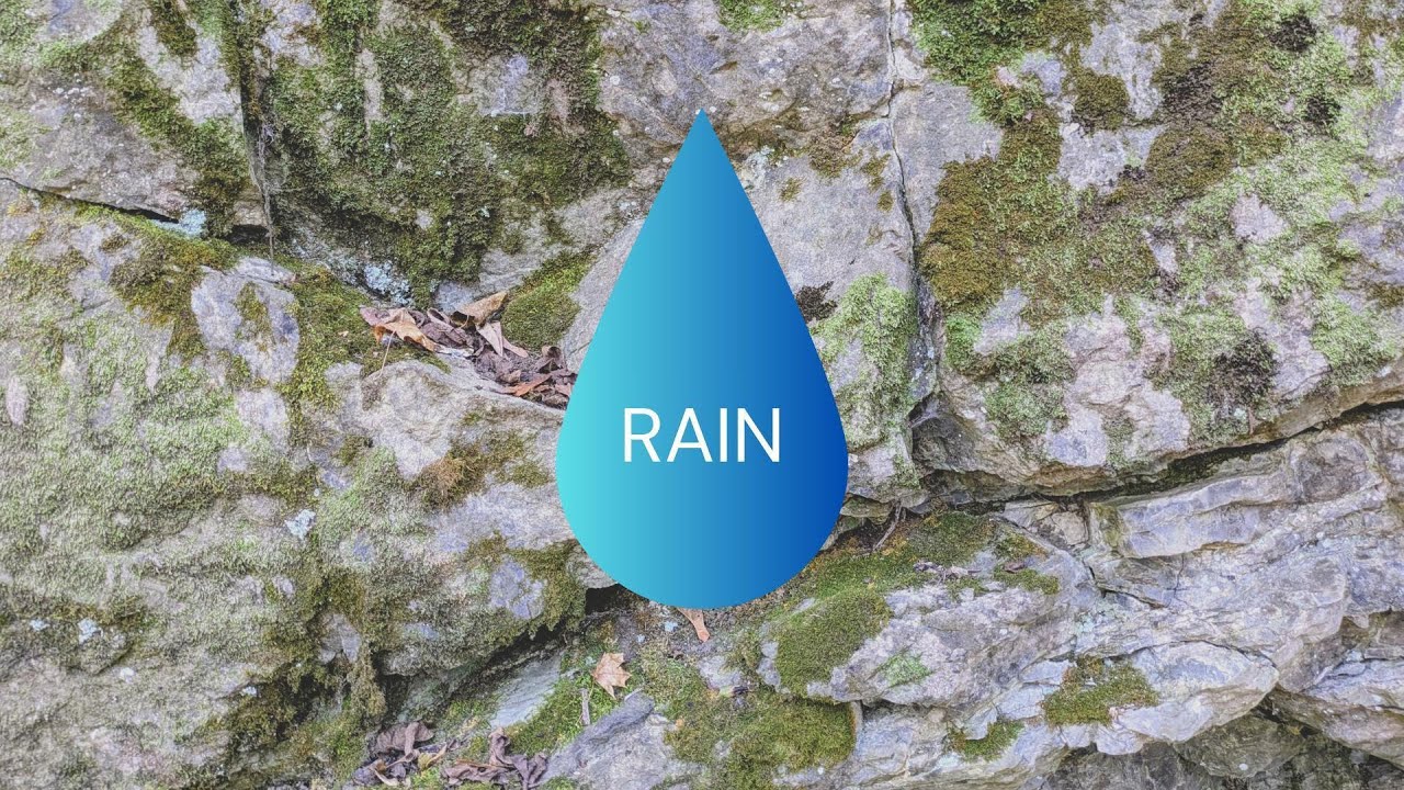 Peaceful Rain Sounds for Sleep, Relaxation & Deep Focus