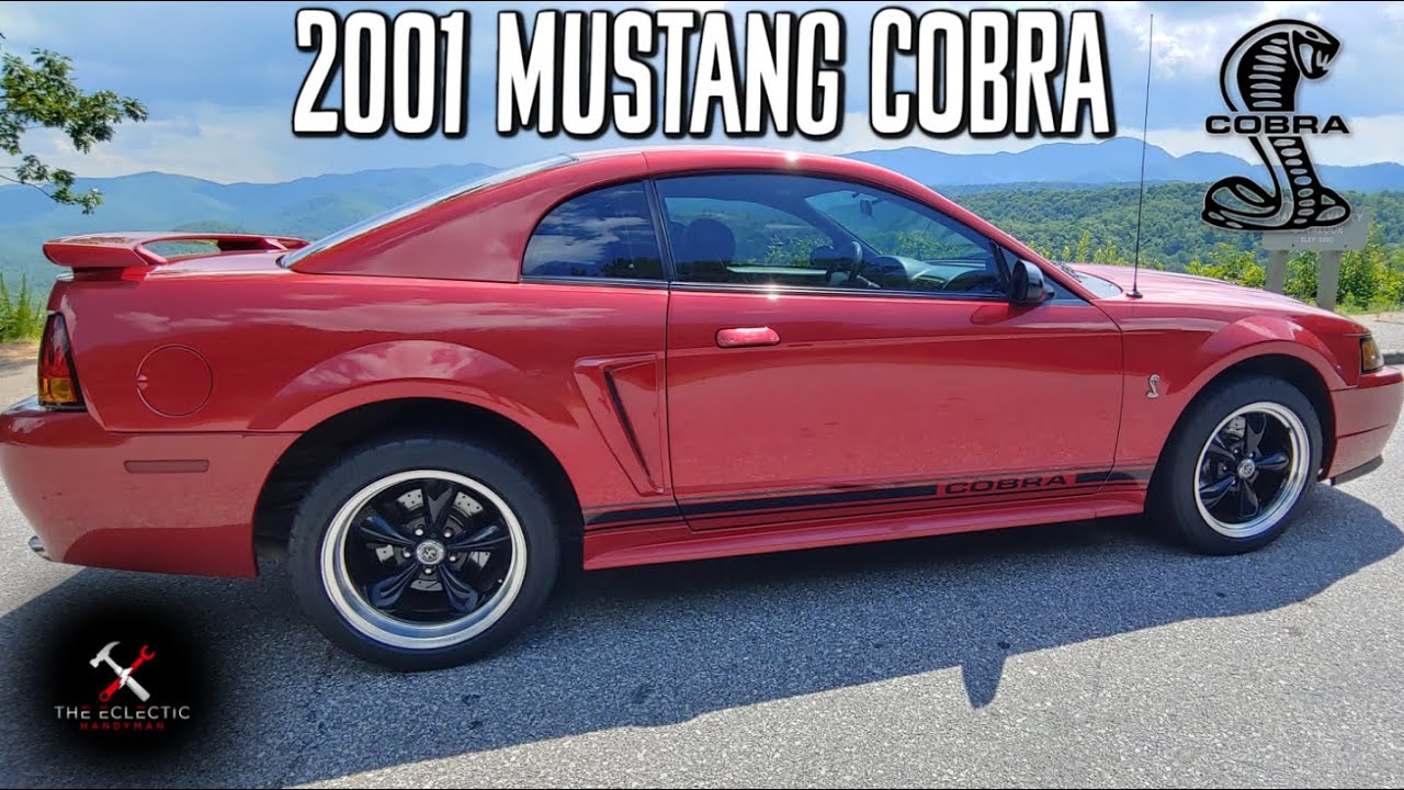 Доступный маслкар | Mustang COBRA 2001 года