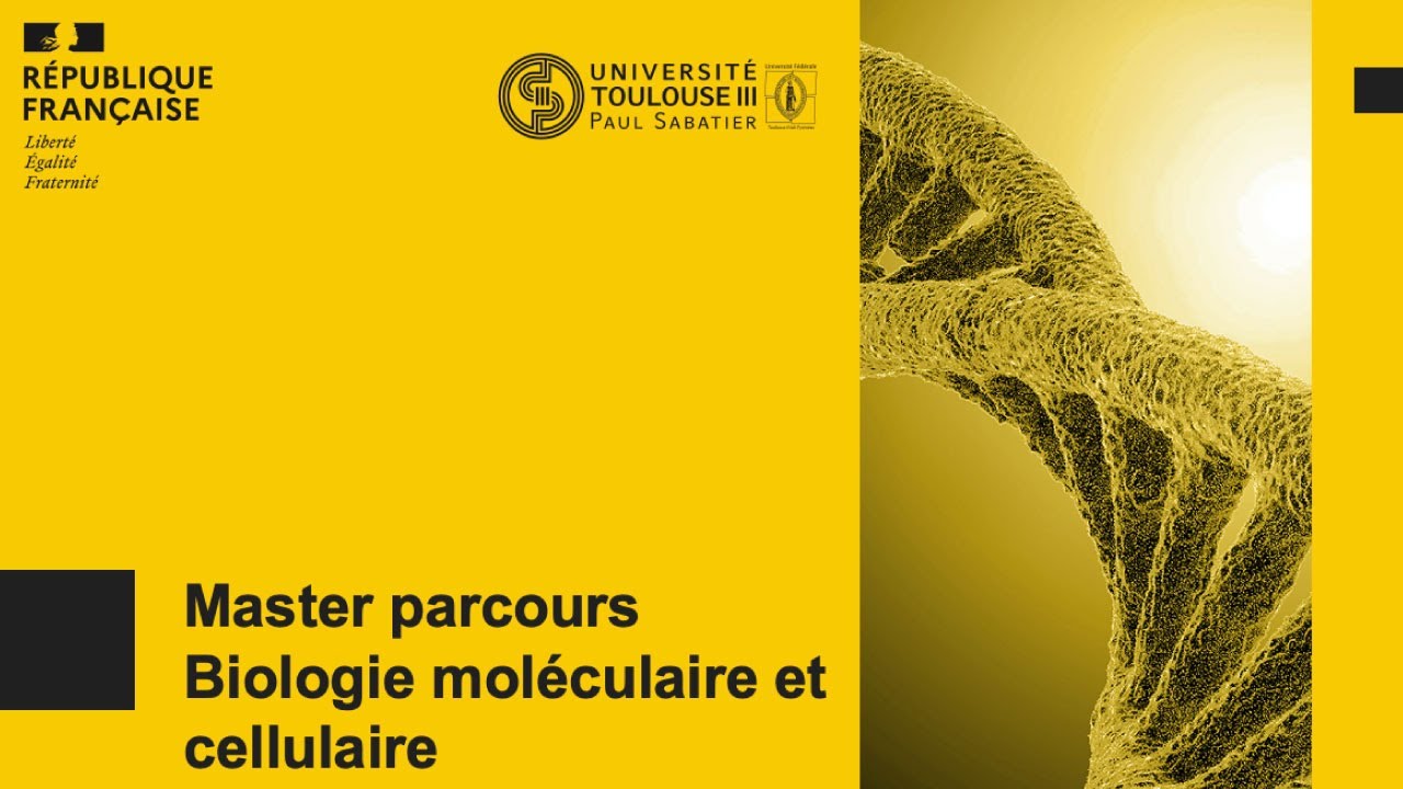 Master mention Biologie moléculaire et cellulaire