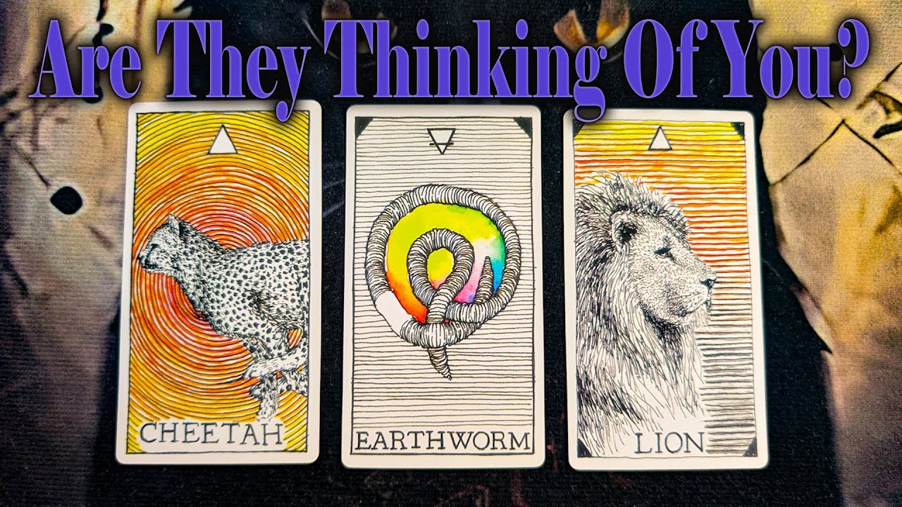 IF THEY ARE IN YOUR MIND, ARE YOU ON THEIRS? 💭✨ Pick a Card Timeless Tarot Reading 🔮💌