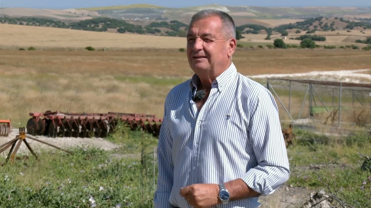 Visitamos el Cortijo Ruchenilla, en Utrera, una de las pocas fincas andaluzas que cultivan lentejas