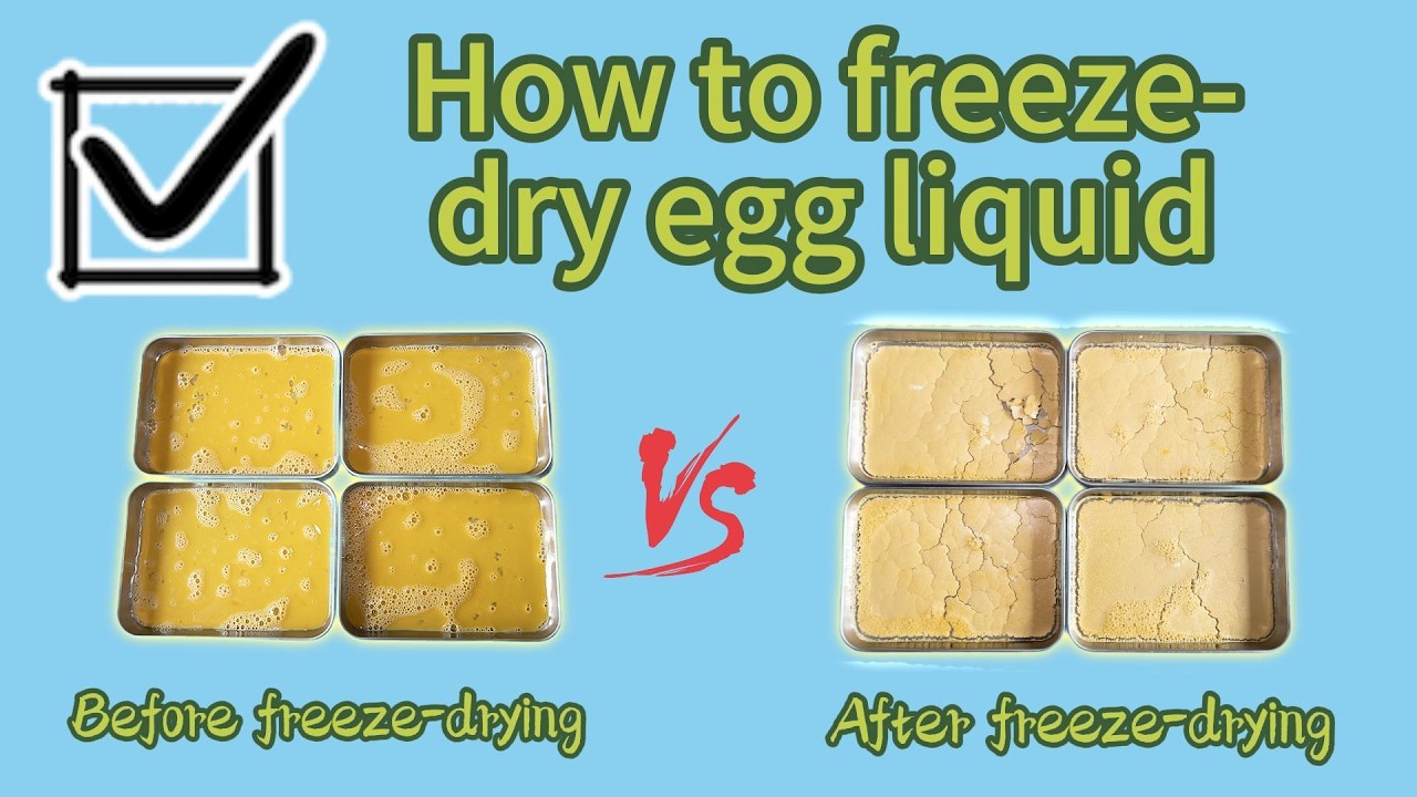 Freeze Dryer Price for Freeze-Dried Egg Liquid | Freeze Dryers for Sale | Professional Manufacturer