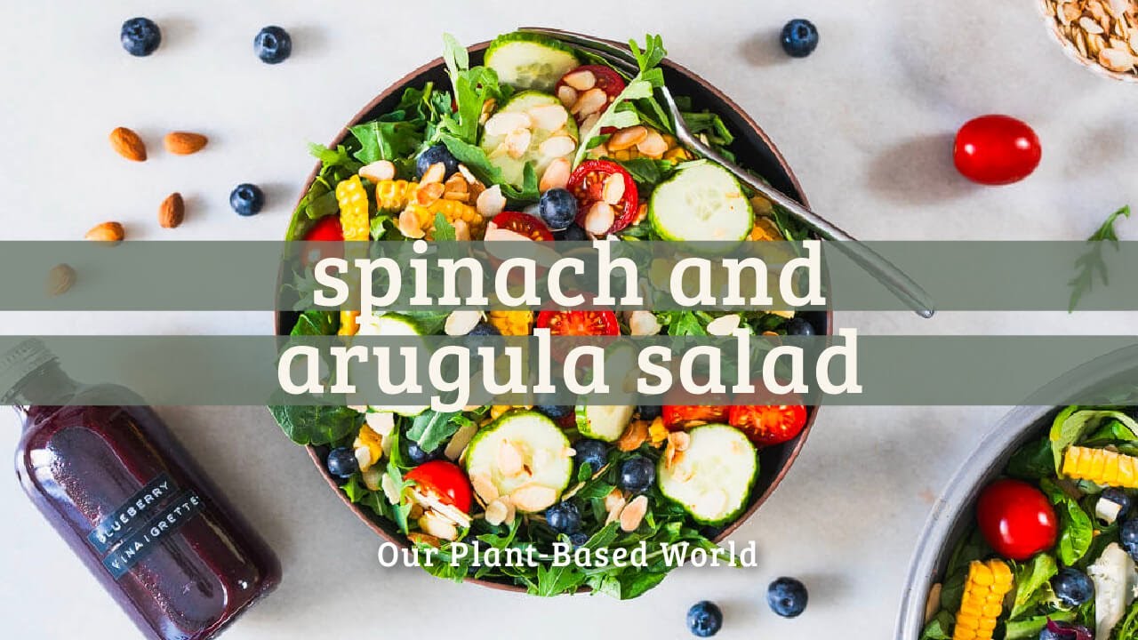 Boost Your Greens Game: Spinach & Arugula Salad with Blueberries | Quick & Nutritious Vegan Recip