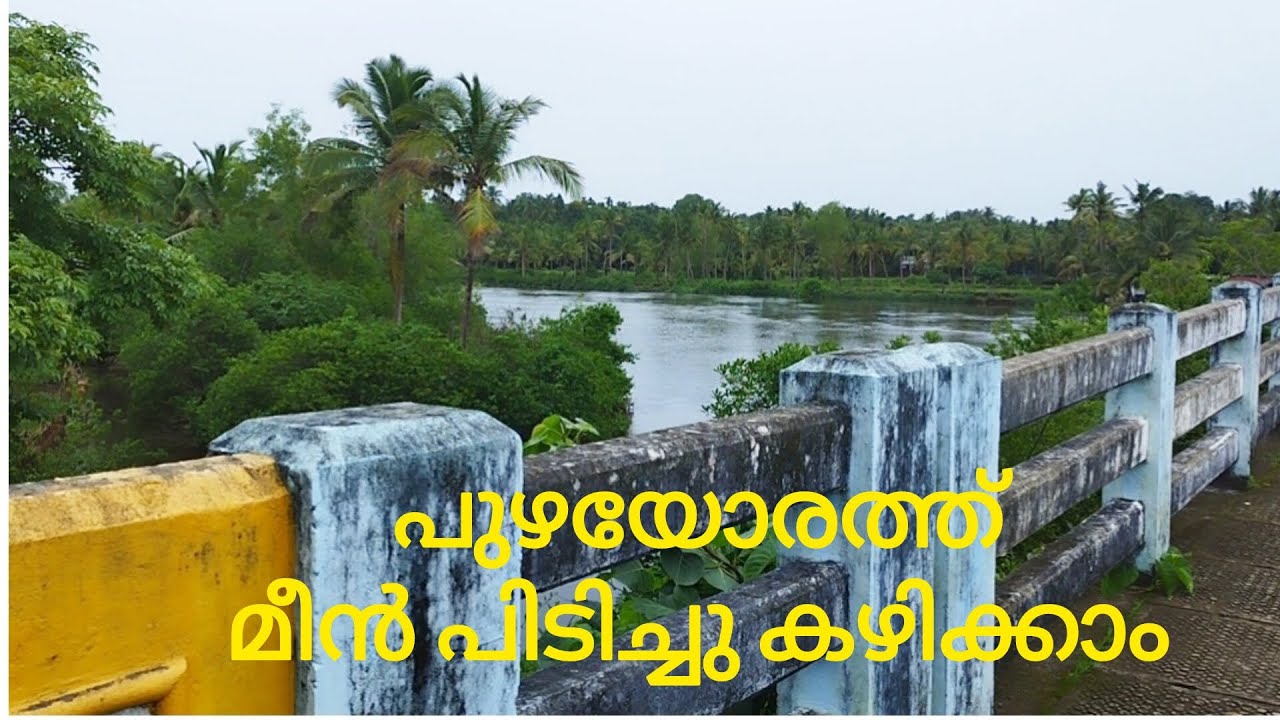 fish county#riverside #travel #adventure #traditional #food #fish #karimeen #kerala #travel
