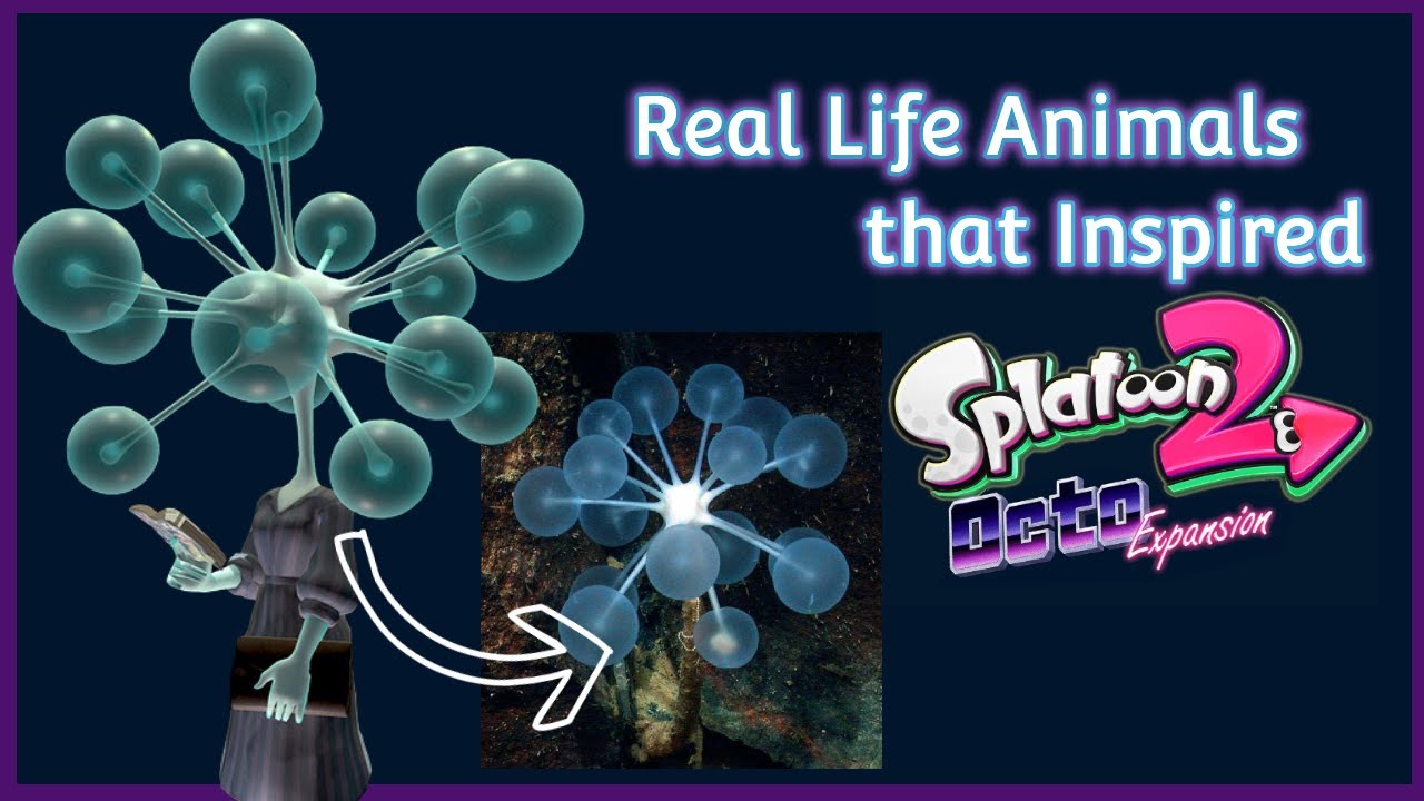 Real World Marine Animals that Inspired Splatoon 2’s Deepsea Metro Characters