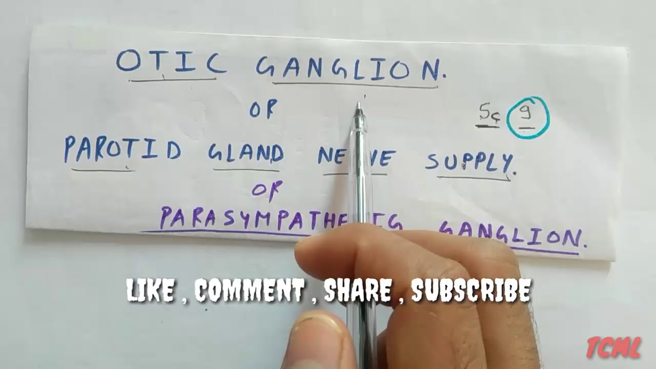Otic Ganglion- 2, Overall Explanation | TCML