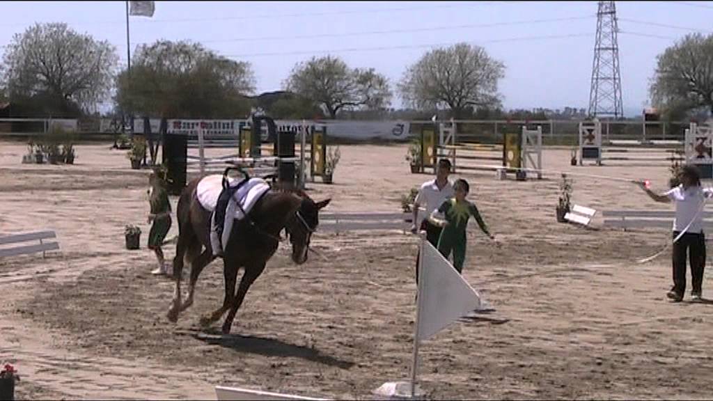 volteggio a cavallo il Sagittario obbligatori squadra cat. D