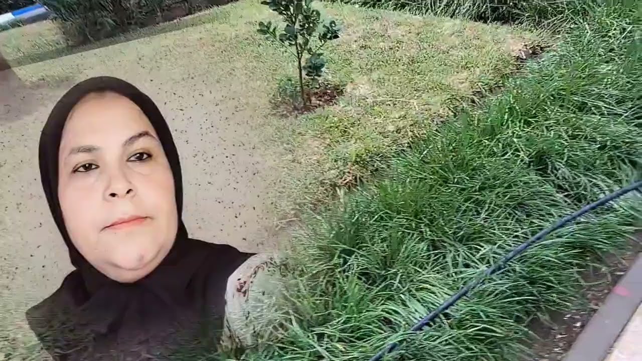 عتقو 🔥😱هجوم على سميره والمخسور بردو الخاطر ف خوسيفينا 😲