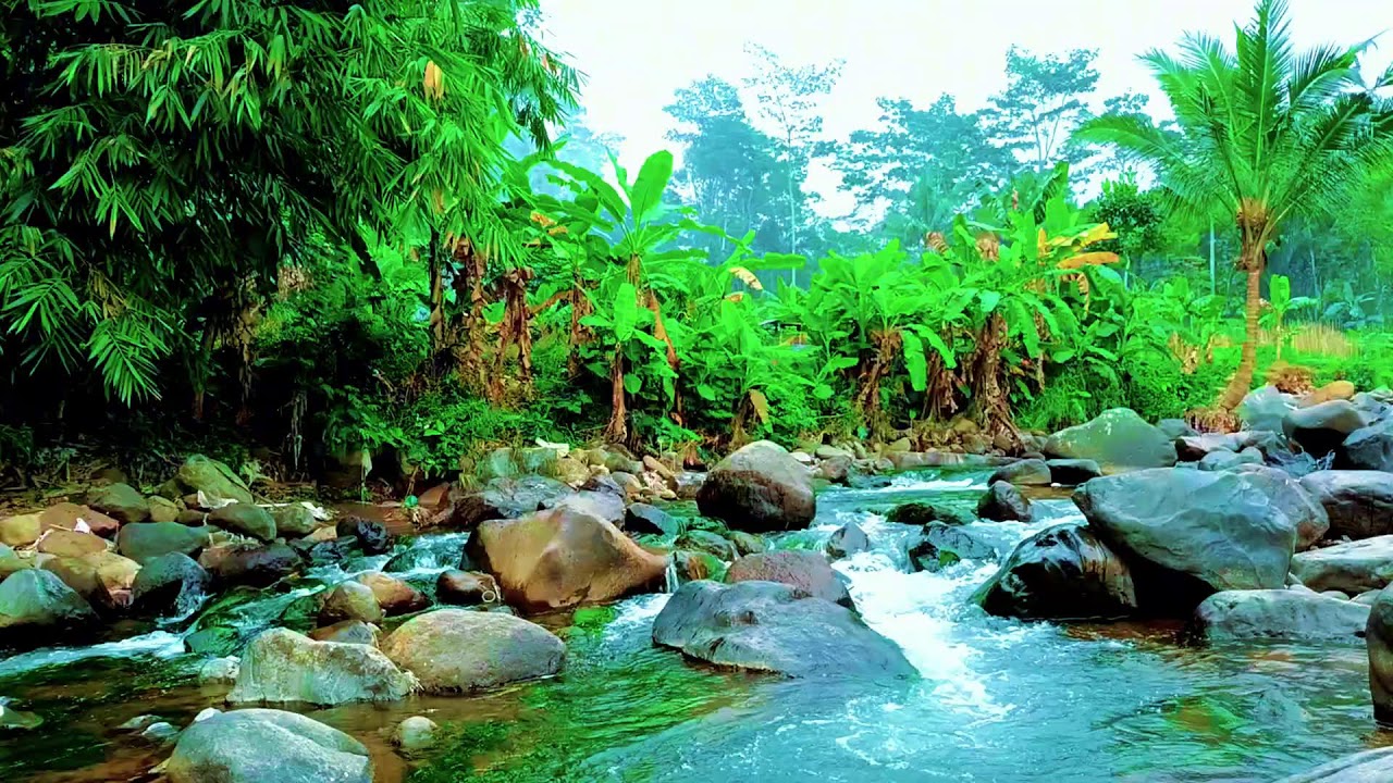 Tranquil River Soundscape for Stress Relief, Deep Relaxation and Better Sleep